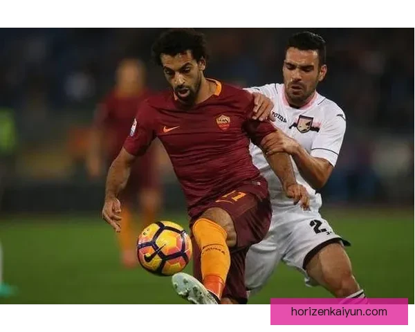 维罗纳整体实力分析：当前赛季表现稳健，竞争力持续提升